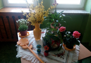 Na stoliku aranżacja zieleni, kwiat w doniczkach, bukiet gałązek forsycji w wazonie.