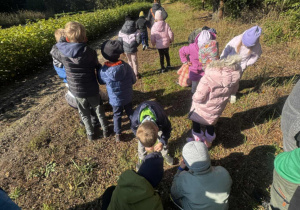 Dzieci spacerują w lesie