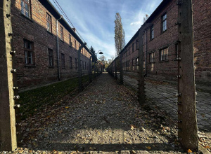 8b i 8d w Muzeum Auschwitz-Birkenau w Oświęcimiu