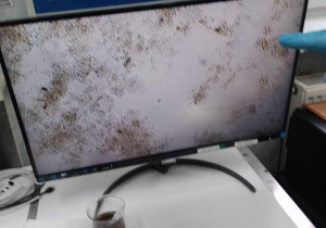 Ekran monitora z plamami