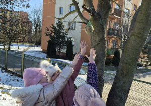 Dzieci łapią karmę dla ptaków