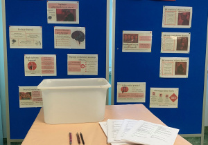 Gazetka informacyjna na temat depresji.