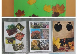 wystawa zdjęć przedstawiających kolorową jesień