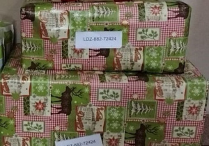Paczki z produktami zebranymi przez wolontariuszy ZSP nr9 w Bełchatowie odwiezione do punktu Szlachetnej Paczki